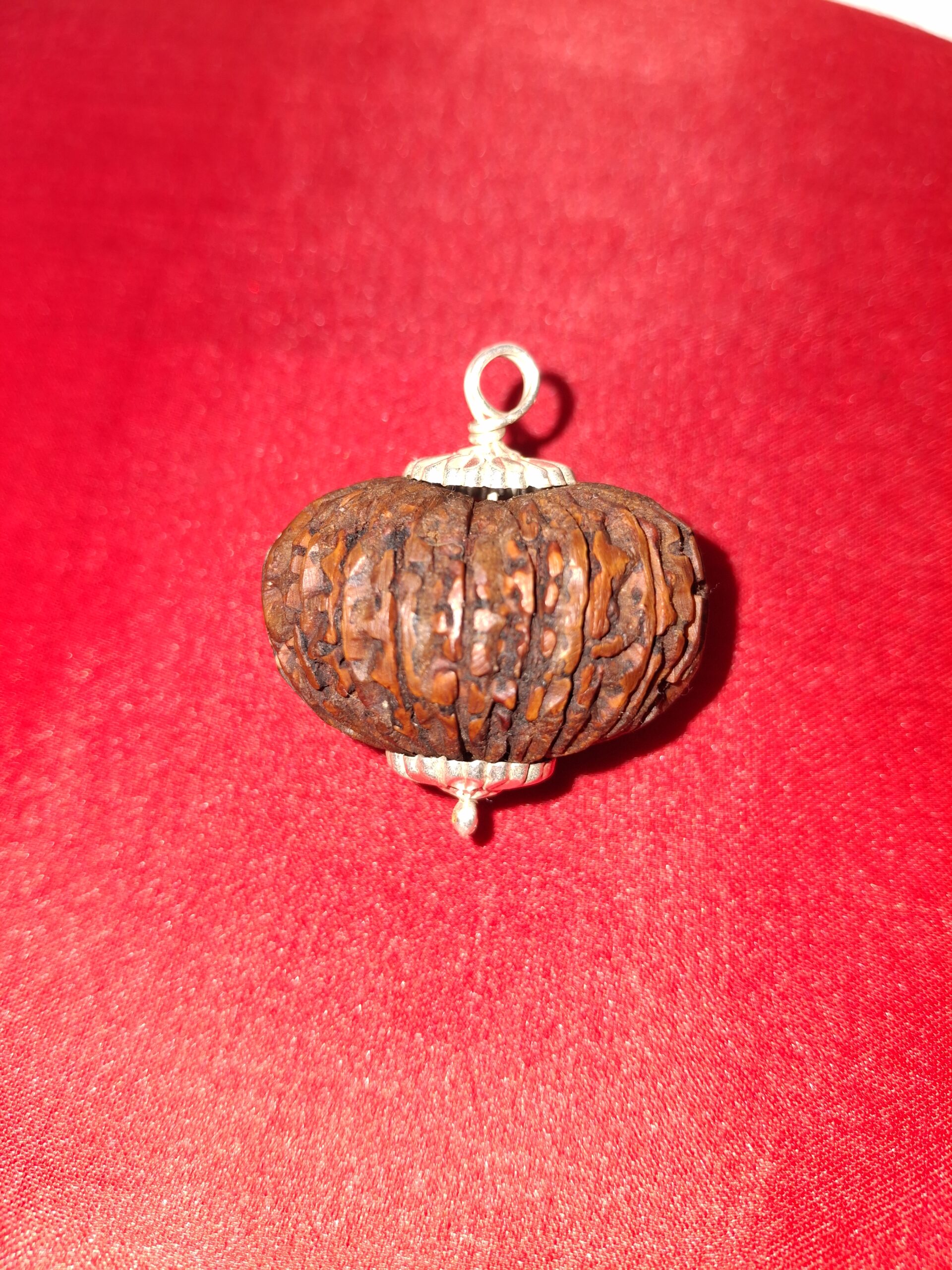 21 Mukhi Rudraksha