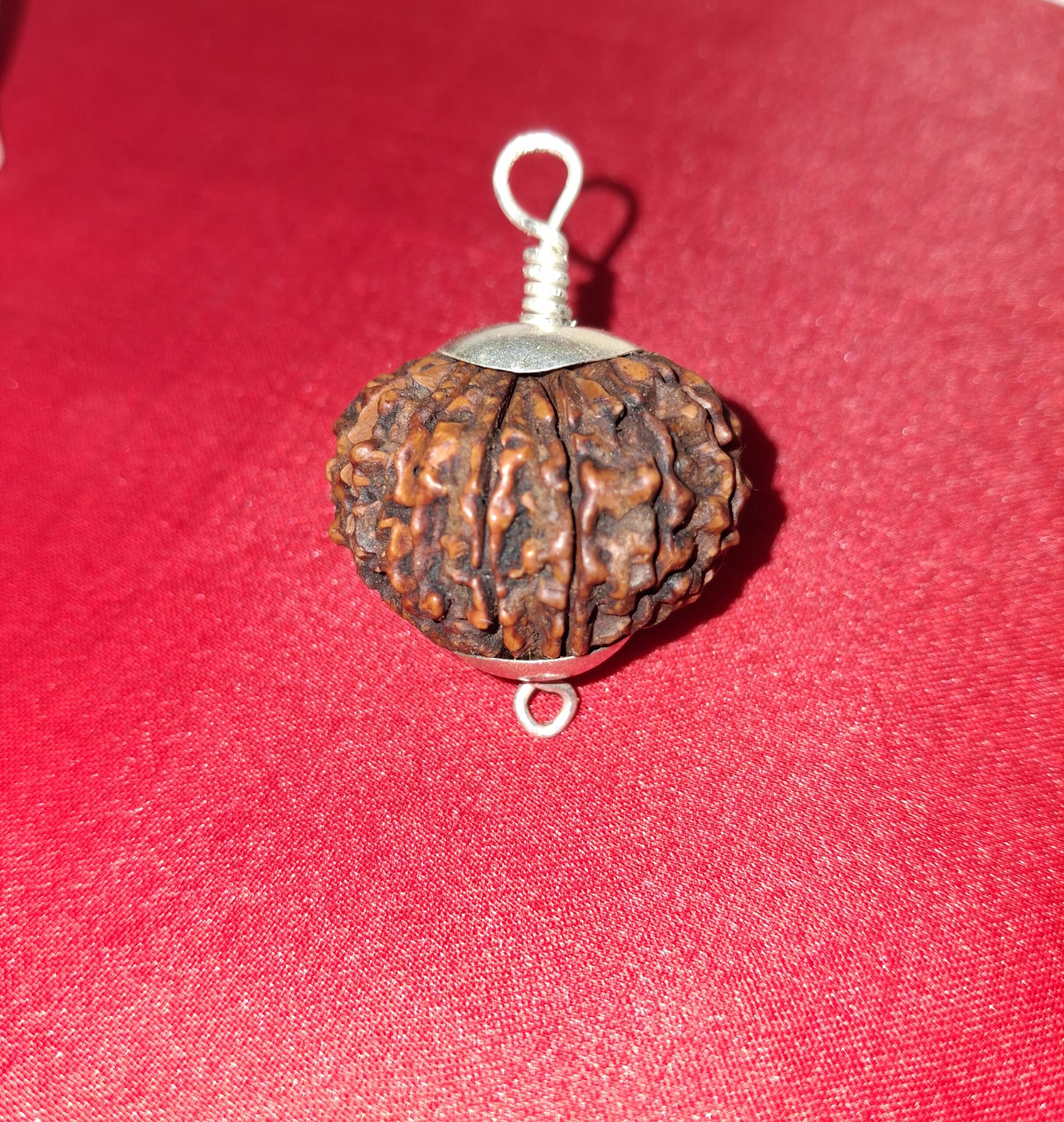 1 Mukhi Rudraksha